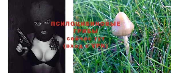 меф Кукмор