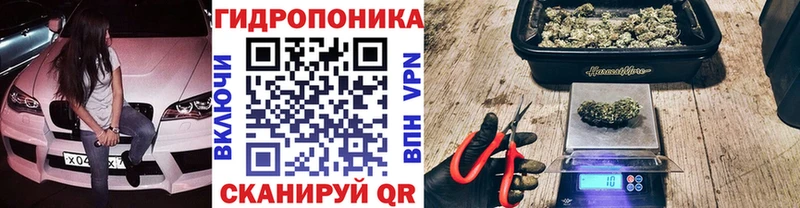 ссылка на мегу как войти Ясный Шишки марихуана конопля